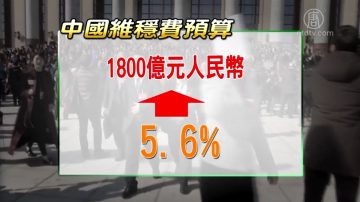 中共维稳费增5.6% 评：一条龙模式 钱进官员荷包