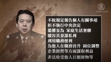 中共前公安部副部長孟宏偉被雙開