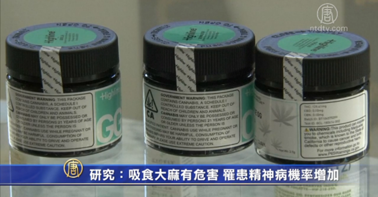 研究：吸食大麻有危害 罹患精神病機率增加