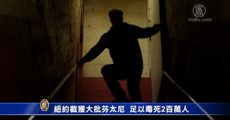 紐約截獲大批芬太尼 足以毒死2百萬人