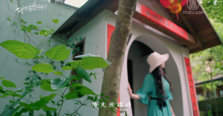 【我的音樂想想】黃金雨下蝴蝶夢