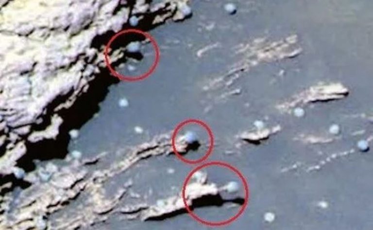 火星探測車拍到「蘑菇」圖片 引發科學家熱議