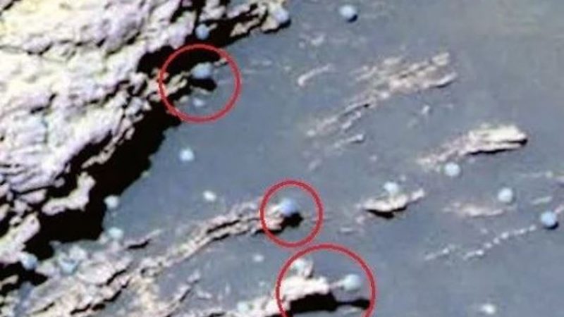 火星探測車拍到「蘑菇」圖片 引發科學家熱議