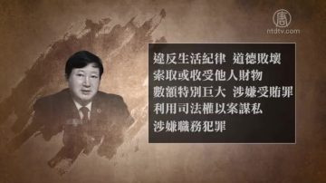 武汉前检察长孙光骏被双开