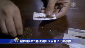 纽约州2020财政预算 大麻合法化被移除