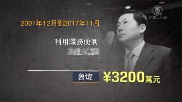 中宣部前副部長魯煒判刑14年