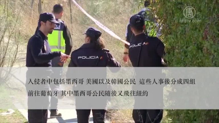 自由朝鮮組織：對馬德里使館事件負責