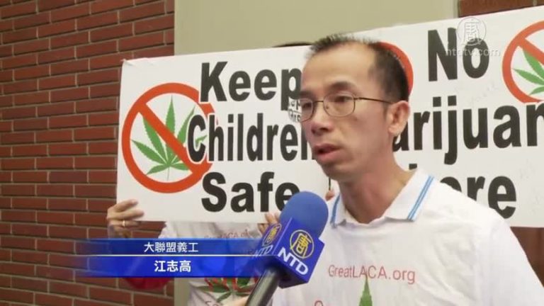 反麻公投簽名造假？大聯盟：這是誣陷