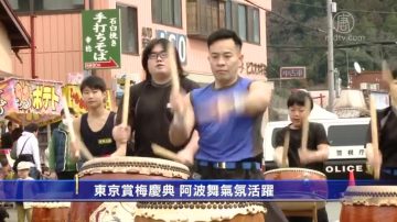 东京赏梅庆典 阿波舞气氛活跃