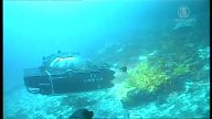探索未知 科學家首次無線直播海底世界