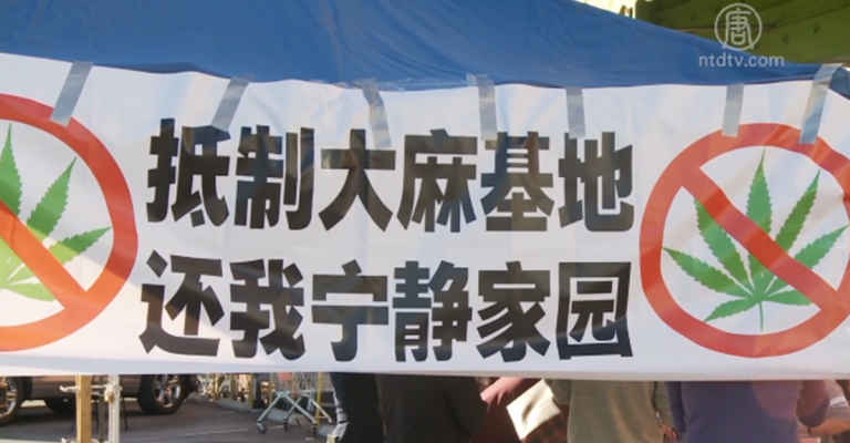 有效簽名不足待核實 反麻公投進展膠著