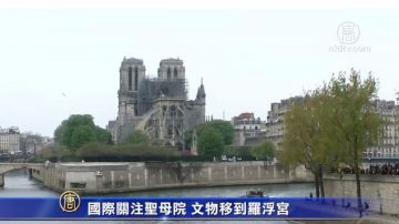 国际关注圣母院 文物移到罗浮宫　