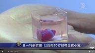 又一科学突破 以色列3D打印带血管心脏