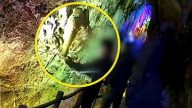 山东400万年钟乳“比翼鸟” 遭3游客敲断偷走（视频）