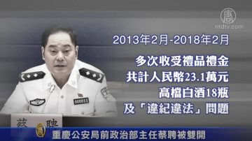 重庆公安局前政治部主任蔡聘被双开