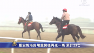 圣安妮塔马场重开后再死一马 累计23亡