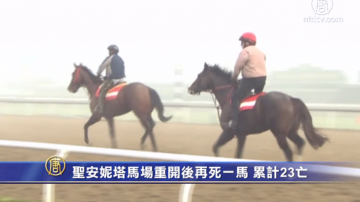 聖安妮塔馬場重開後再死一馬 累計23亡