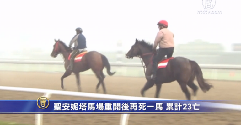 聖安妮塔馬場重開後再死一馬 累計23亡