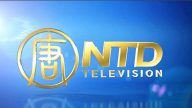 英文新唐人电视台招聘新闻和娱乐主持人