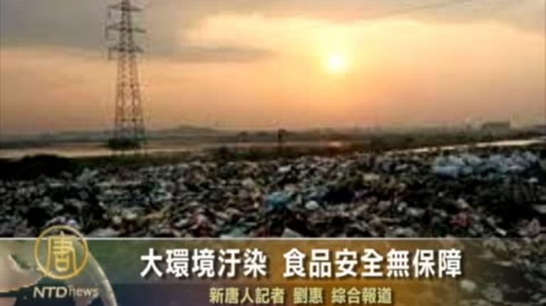 張林：中國污染再次加劇