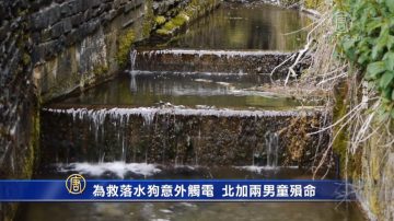 為救落水狗意外觸電 北加兩男童殞命