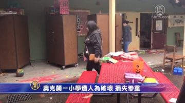 奧克蘭一小學遭人為破壞 損失慘重