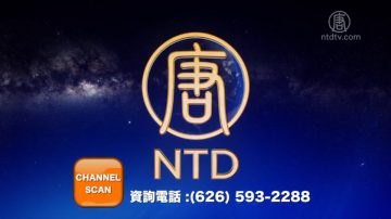 NTD播出频率4月12日起有变化