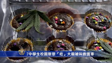 7中学生校园聚众“吃”大麻被叫救护车