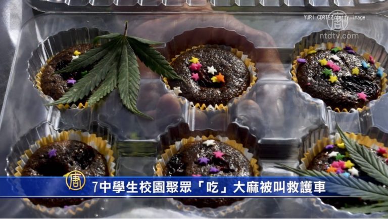 7中學生校園聚眾「吃」大麻被叫救護車