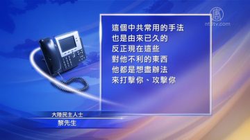 遭「帝吧」攻擊 維吾爾人權組織臉書被洗版