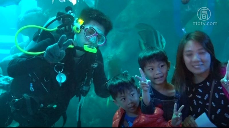 澎湖水族館重開幕 美麗灣海底風華再現