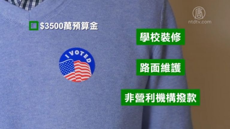 網上投票決定資源分配 紐約市「參與性投票」開始