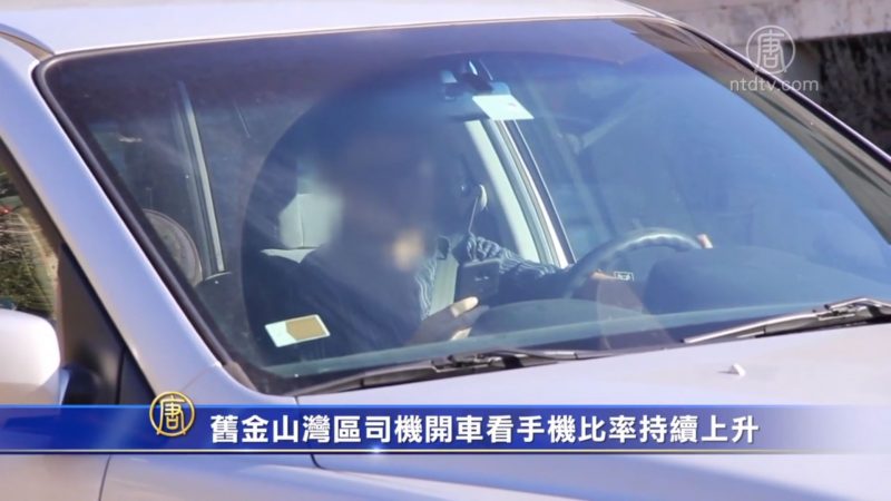 舊金山灣區司機開車看手機比率持續上升