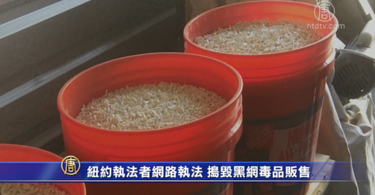 紐約執法者網路執法 搗毀黑網毒品販售