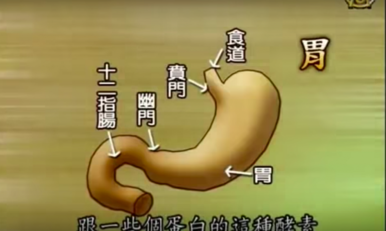 中醫：胃酸 / 狐臭小偏方