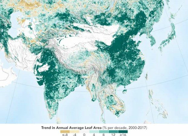 鄭義:從兩幅衛星圖看中國森林的毀滅和自然復甦 