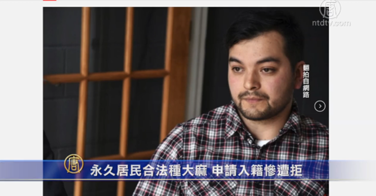 永久居民合法種大麻 申請入籍慘遭拒