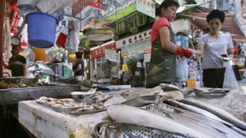 大陸淡水魚被檢出含致癌「食物界禁藥」