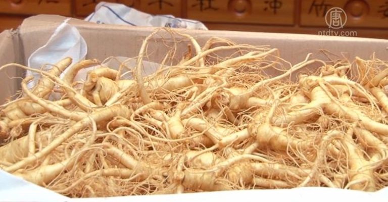 帶花旗參回中國違法 兩紐約華人入境遭查禁