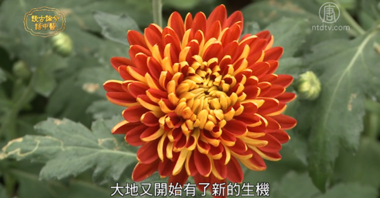 談古論今話中醫：春季養生食療