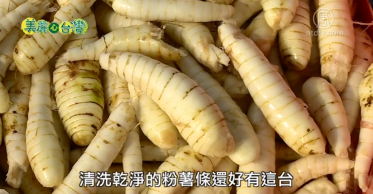 美麗心台灣：八旬伯復種天然太白粉原料-葛鬱金