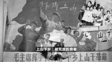 中共团中央追捧习思想 动员千万知青“上山下乡”