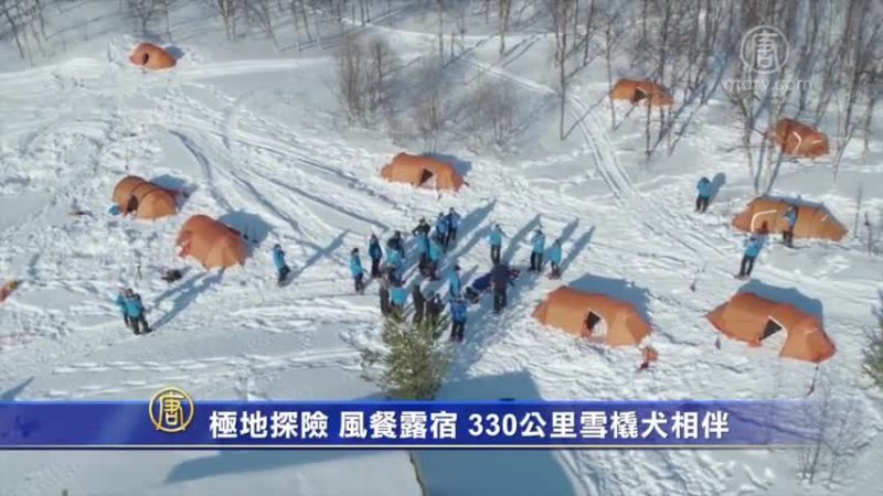 极地探险 风餐露宿 330公里雪橇犬相伴