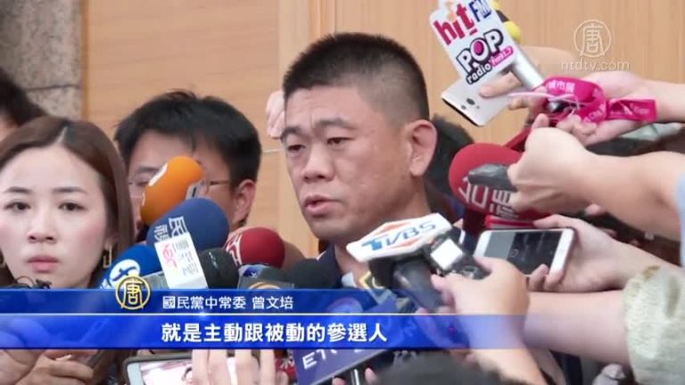 2020大選 國民黨初選或採用全民調