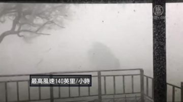 龍捲風襲擊美國南部 最高風速達140英裡