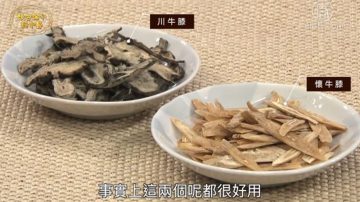 談古論今話中醫：認識梅尼爾氏症