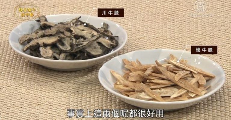 談古論今話中醫：認識梅尼爾氏症