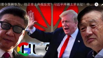 川普令围剿华为，任正非上央视反党？习近平拜稀土求长征！中共危机真来了（一）