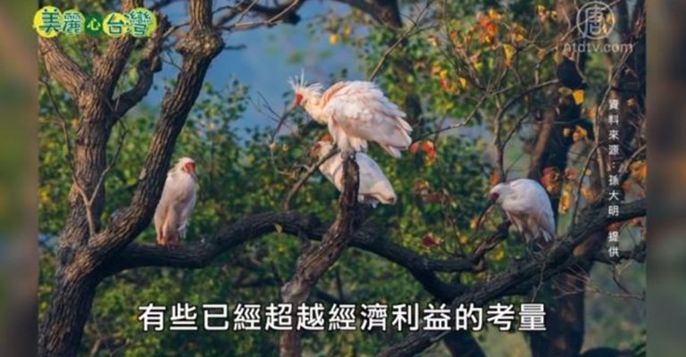 美麗心台灣：拍鳥愛鳥保育者 觀摩國外實際經驗