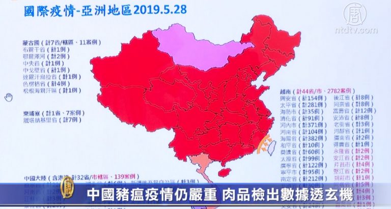 中國豬瘟疫情仍嚴重 肉品檢出數據透玄機